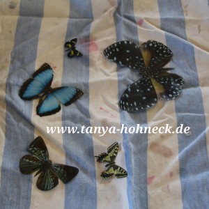 autentico-serviettentechnik